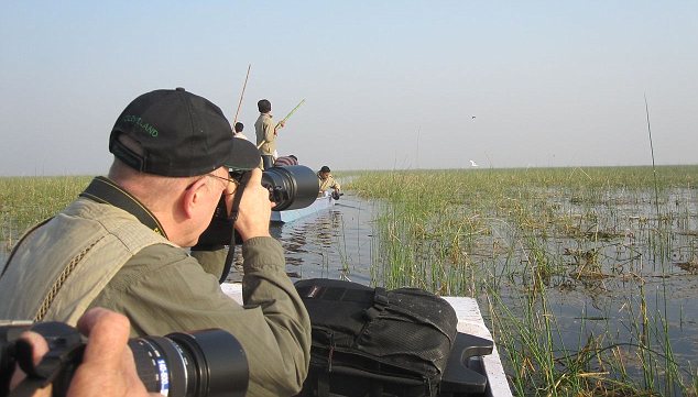 Circuit d'observation des oiseaux en Inde