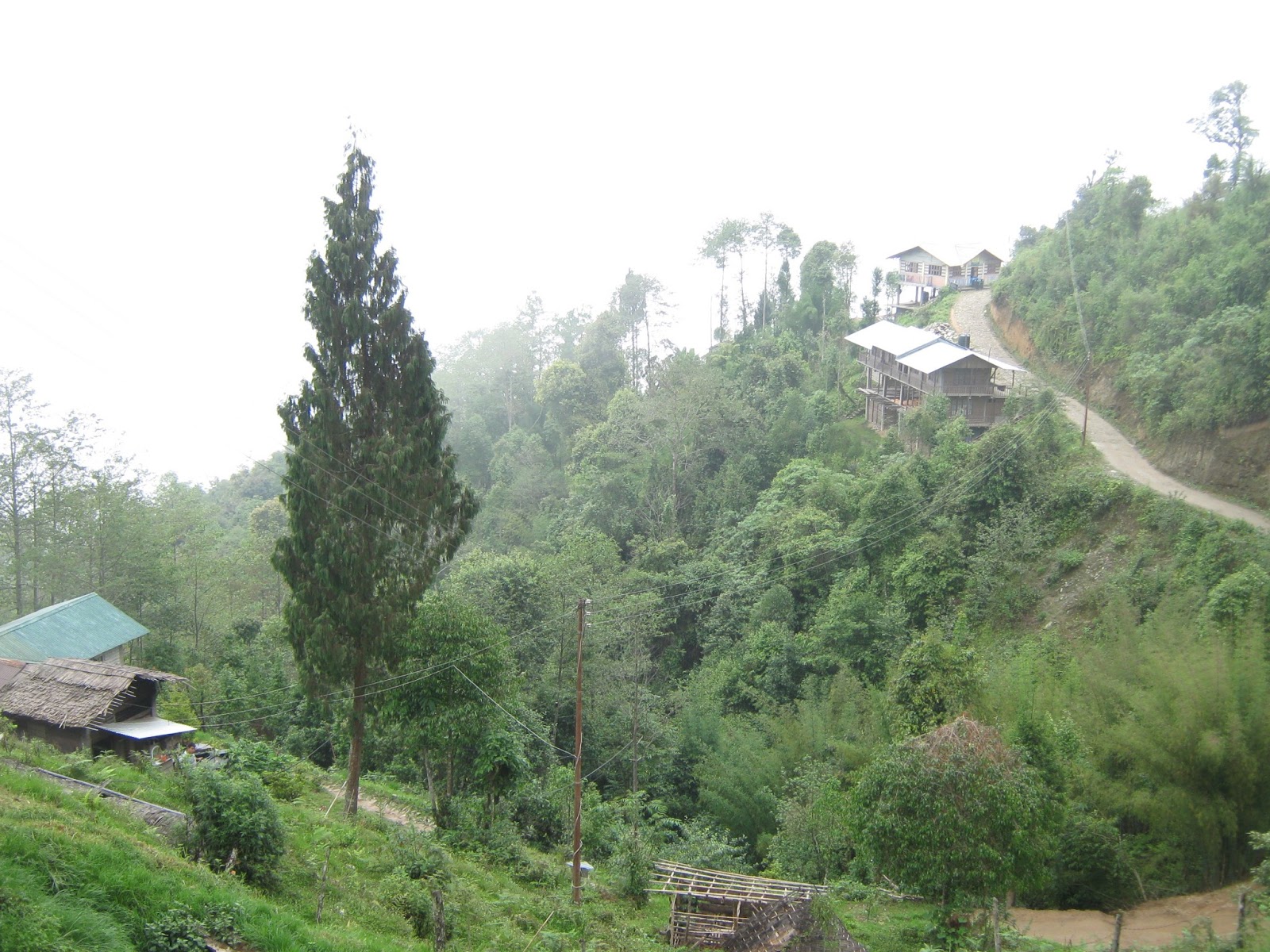 Le trek à Singalila Kanchenjunga