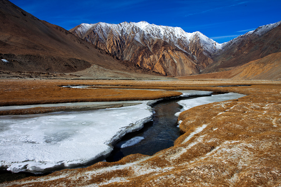 Un hiver au Ladakh