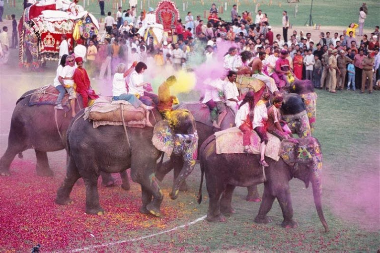 Festival elephants et holi à Jaipur 
