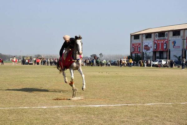 Kila Raipur Rural Olympics, Punjab